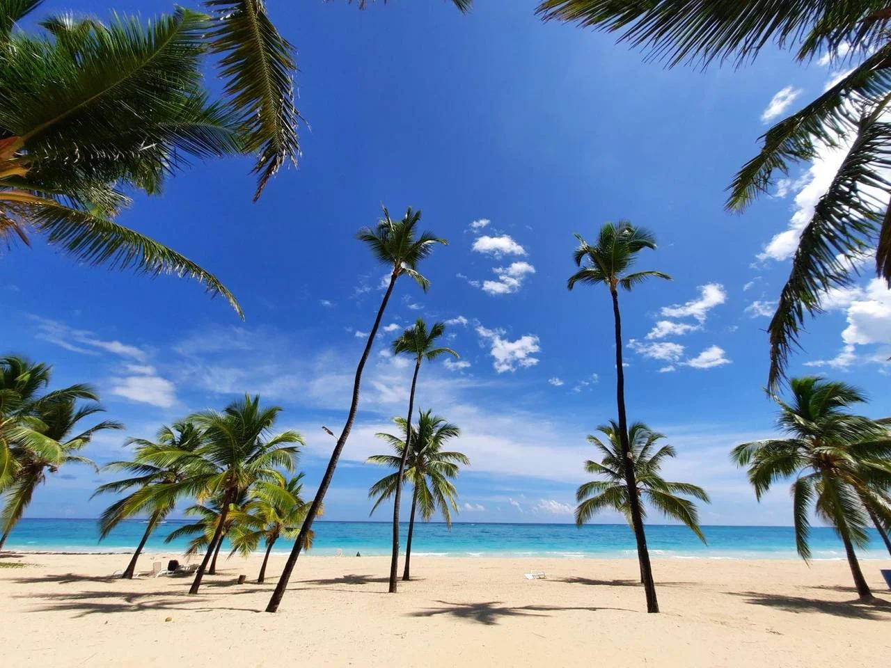 Descubre Riverside White Sands: Playa Privada y Confort e... 8