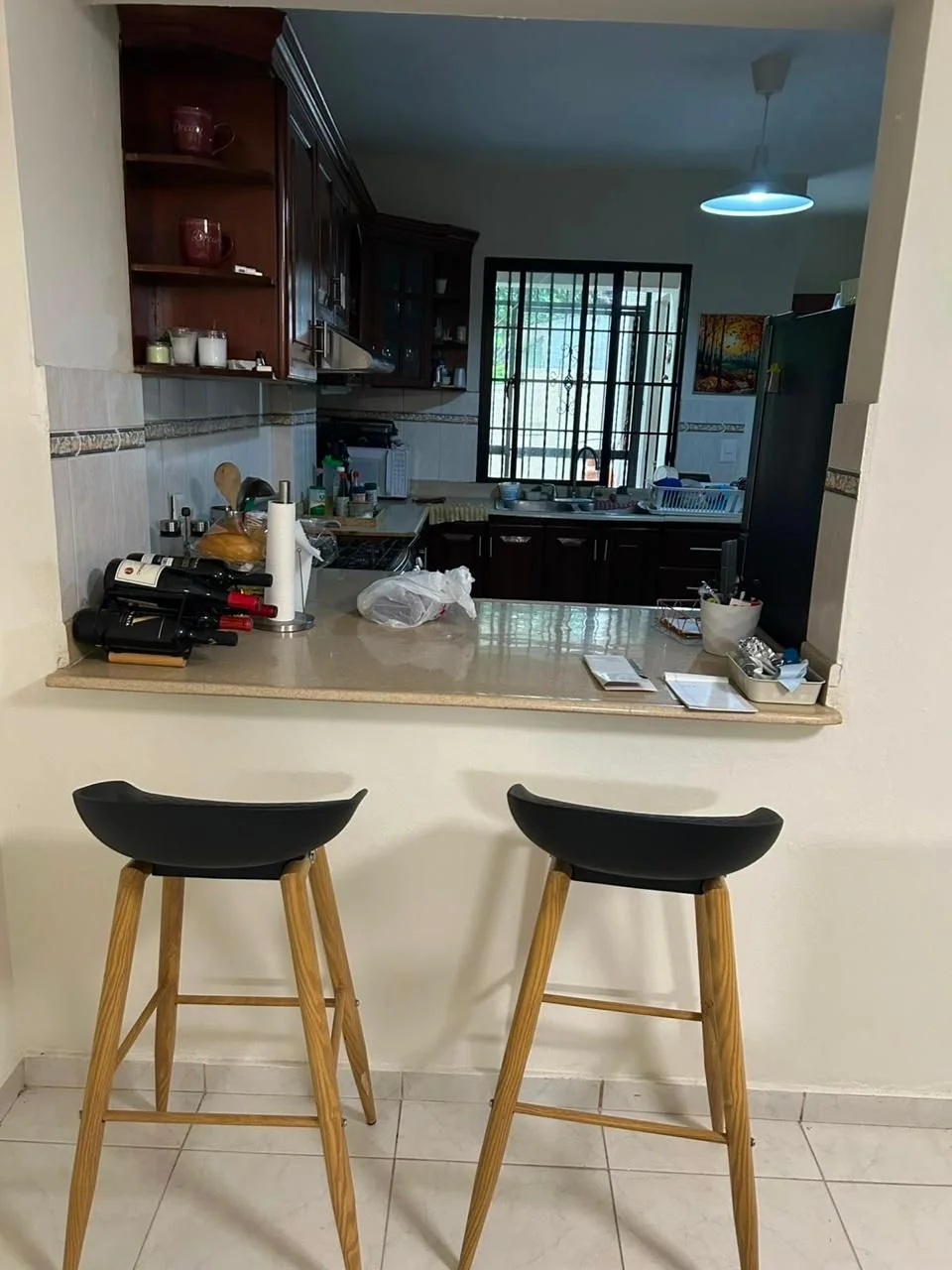 Apartment with 3 bedrooms for sale in El Millon, Distrito Nacional - 4