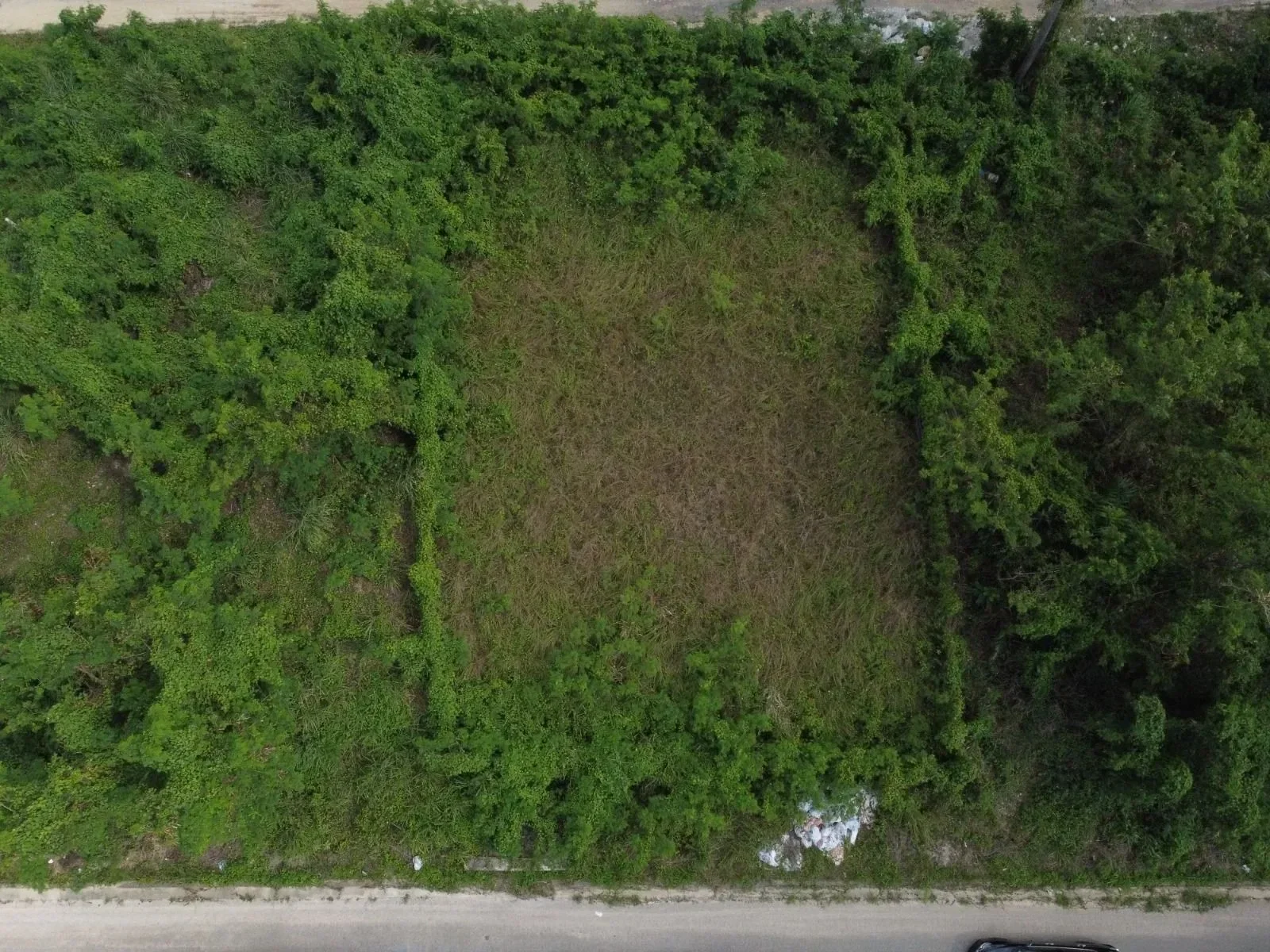 Terreno en venta en Ciudad Modelo, Santo Domingo Norte - 3