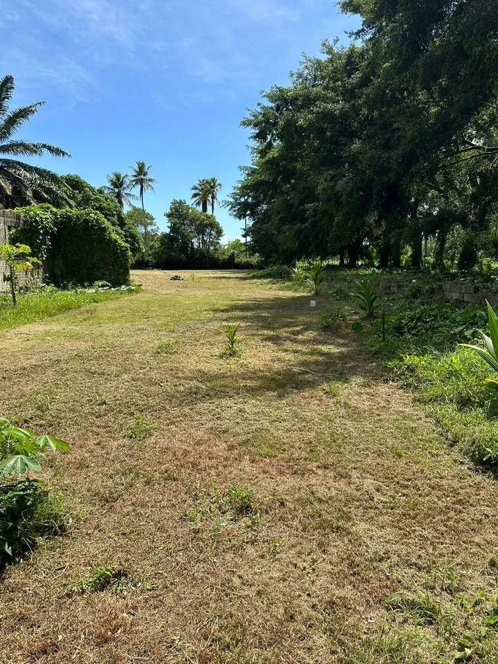 Terreno en Sonador en venta - 4