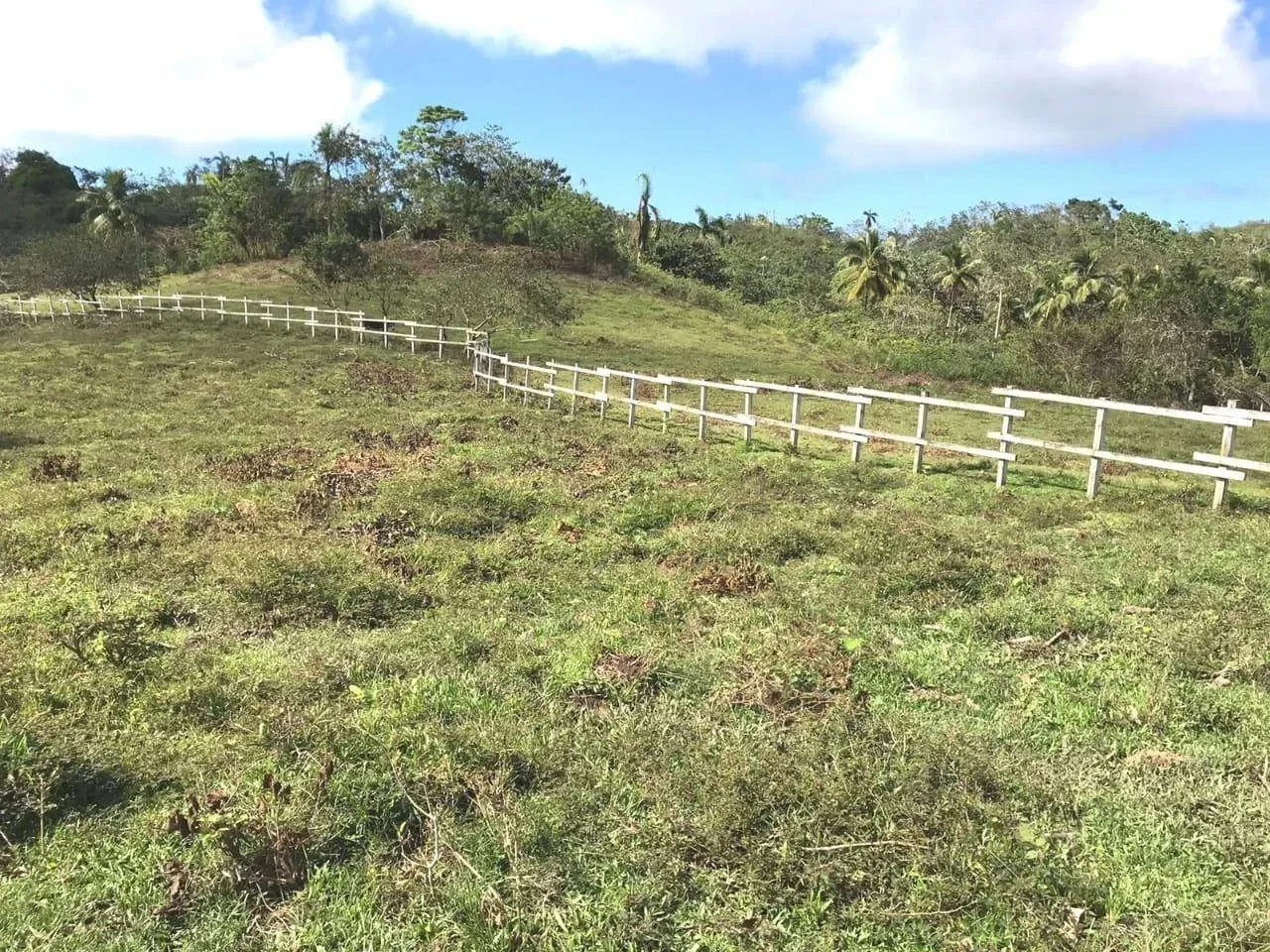 Las Guázaras: terrain à vendre - 3