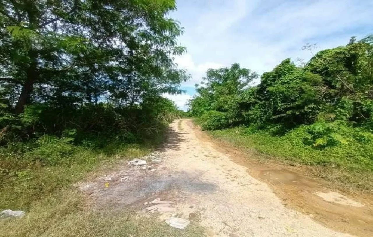 Vente: terrain à Urbanización Las Acacias, Santo Domingo Este - 3