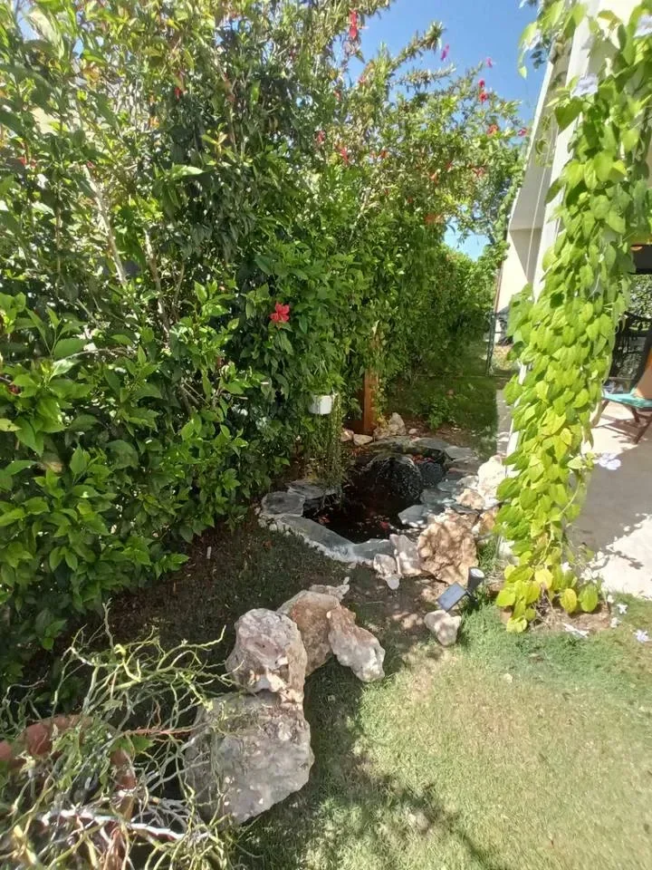 Casa en Ciudad la Palma, 120 m² en venta - 2