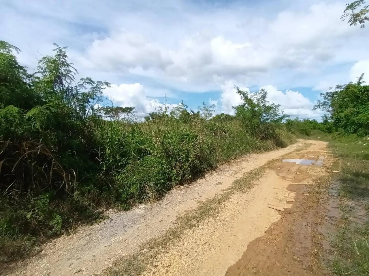 Vente: terrain à Urbanización Las Acacias, Santo Domingo Este - 2