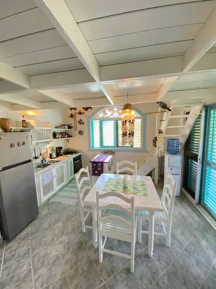 Appartement de 2 chambres à vendre à La Ballena, Las Terrenas - 2