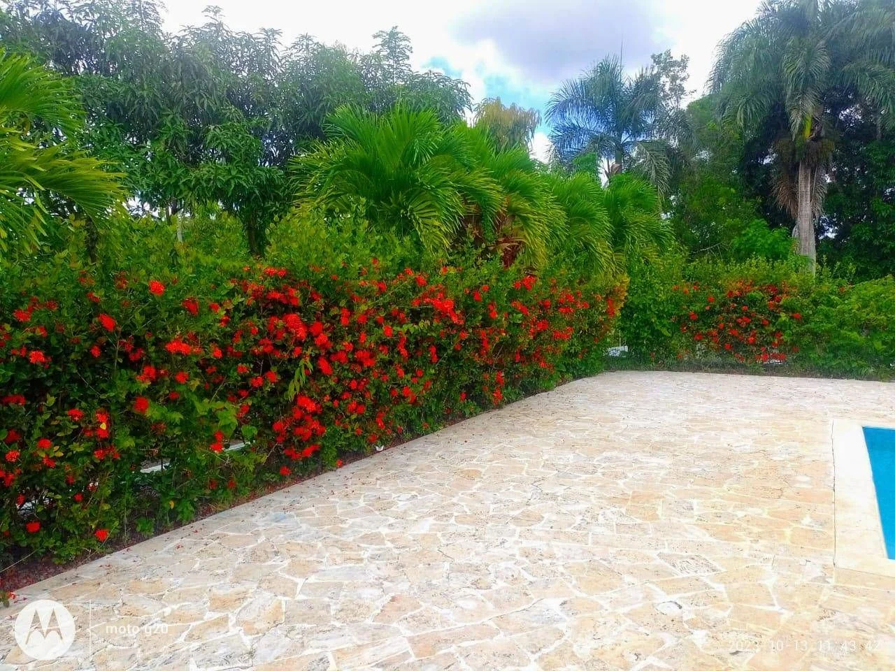 Villa en El Dajao, 250 m² en venta - 5