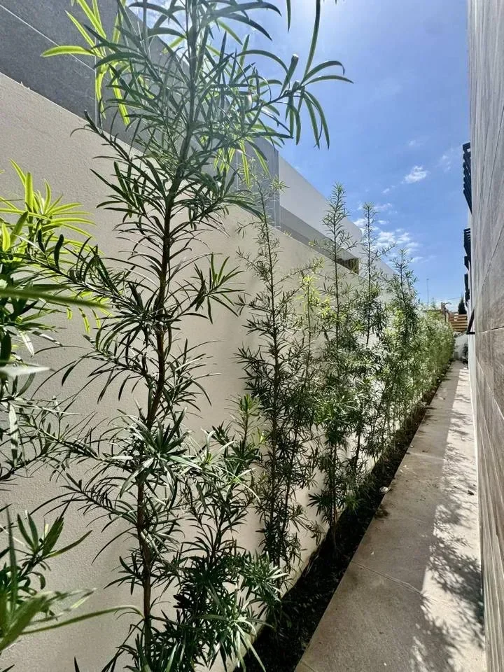 Casa en Llanos de Gurabo, 230 m² en venta - 4