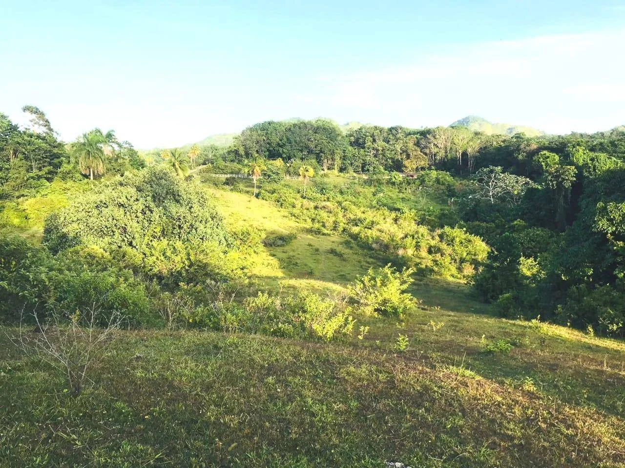 Terrain à vendre — Las Guázaras, Las Terrenas