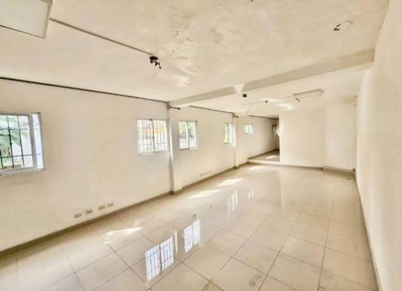 Local comercial en La Julia, 560 m² en alquiler - 3