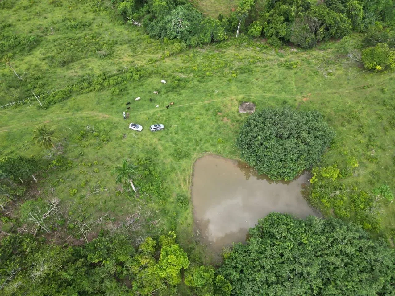 Land plot in Las Guázaras for sale - 2