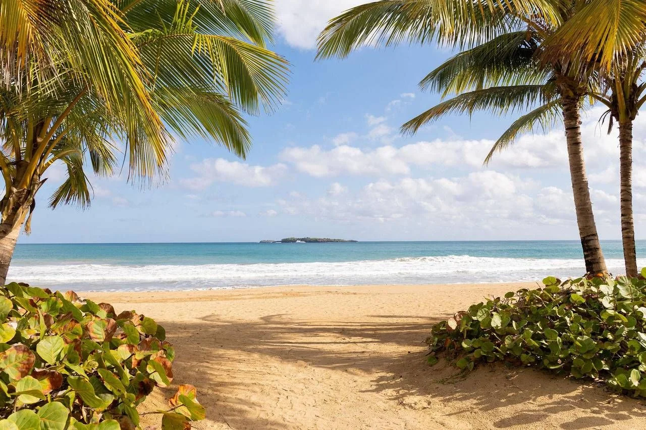 Villa de 4 chambres à vendre à Centro Del Pueblo O El Limón, Samana - 2
