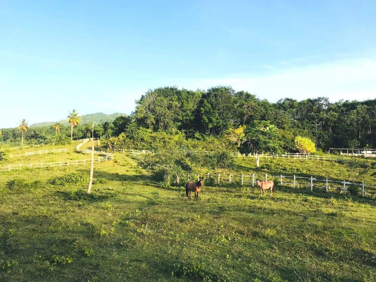 Land plot in Las Guázaras for sale - 4