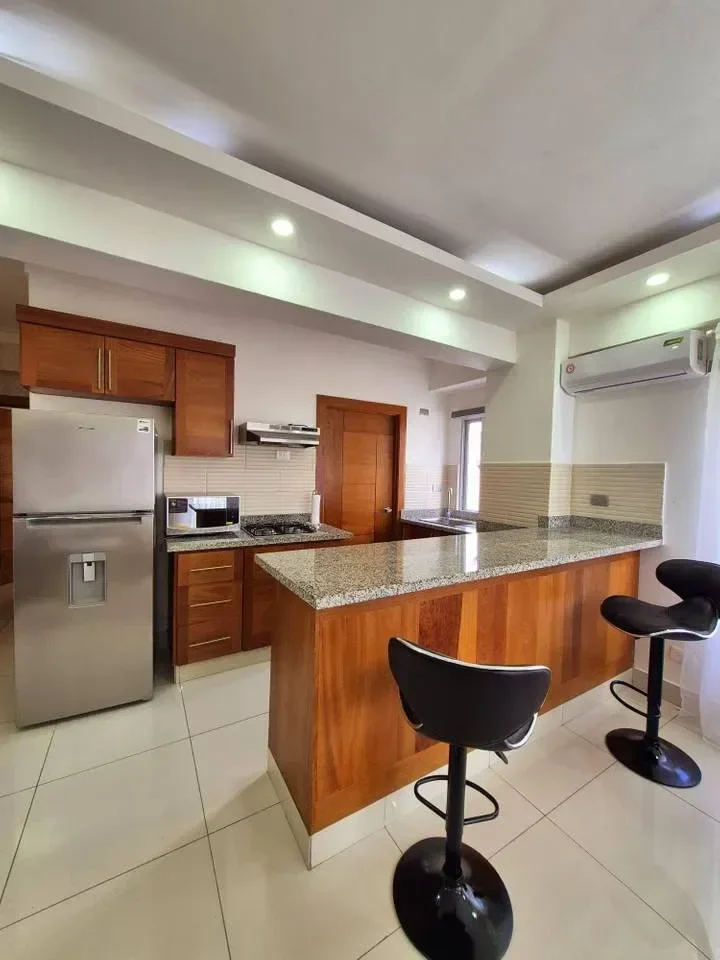 Location: appartement à Julieta Morales, Distrito Nacional - 3