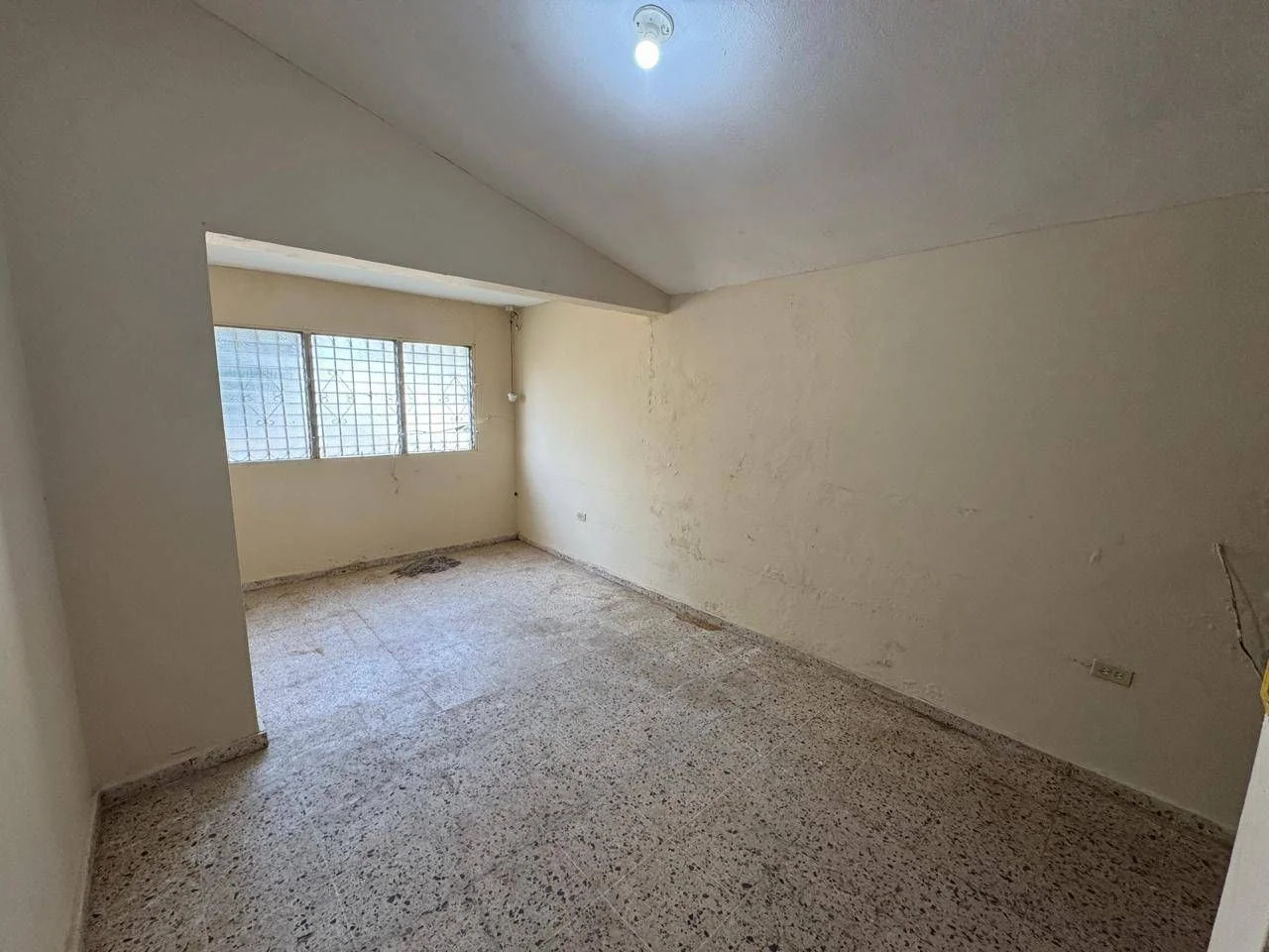 Julieta Morales: local commercial 4 ch. · 238 m² à louer - 5