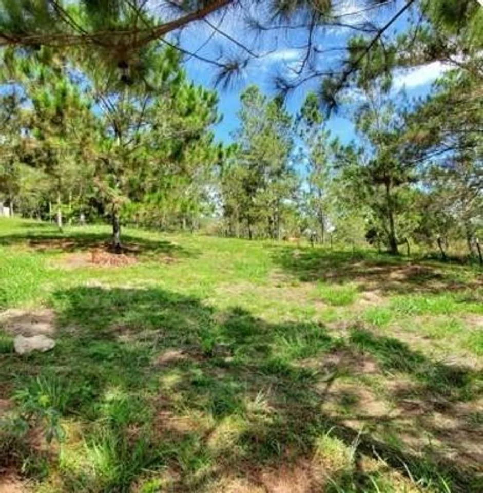 Terreno en Jumunuco en venta