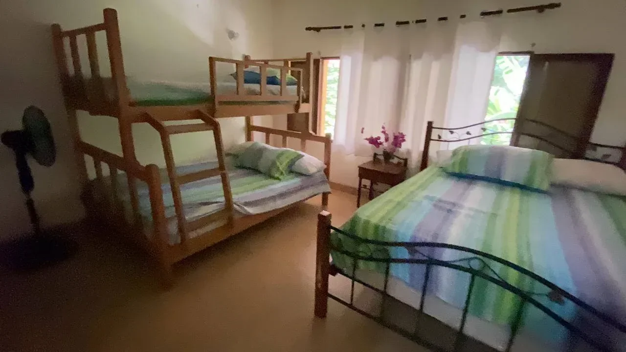 Jarabacoa: casa 4 hab. · 500 m² en venta - 4