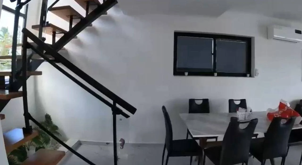 Villa for rent — Primaveral, Bávaro (3 bed) - 4