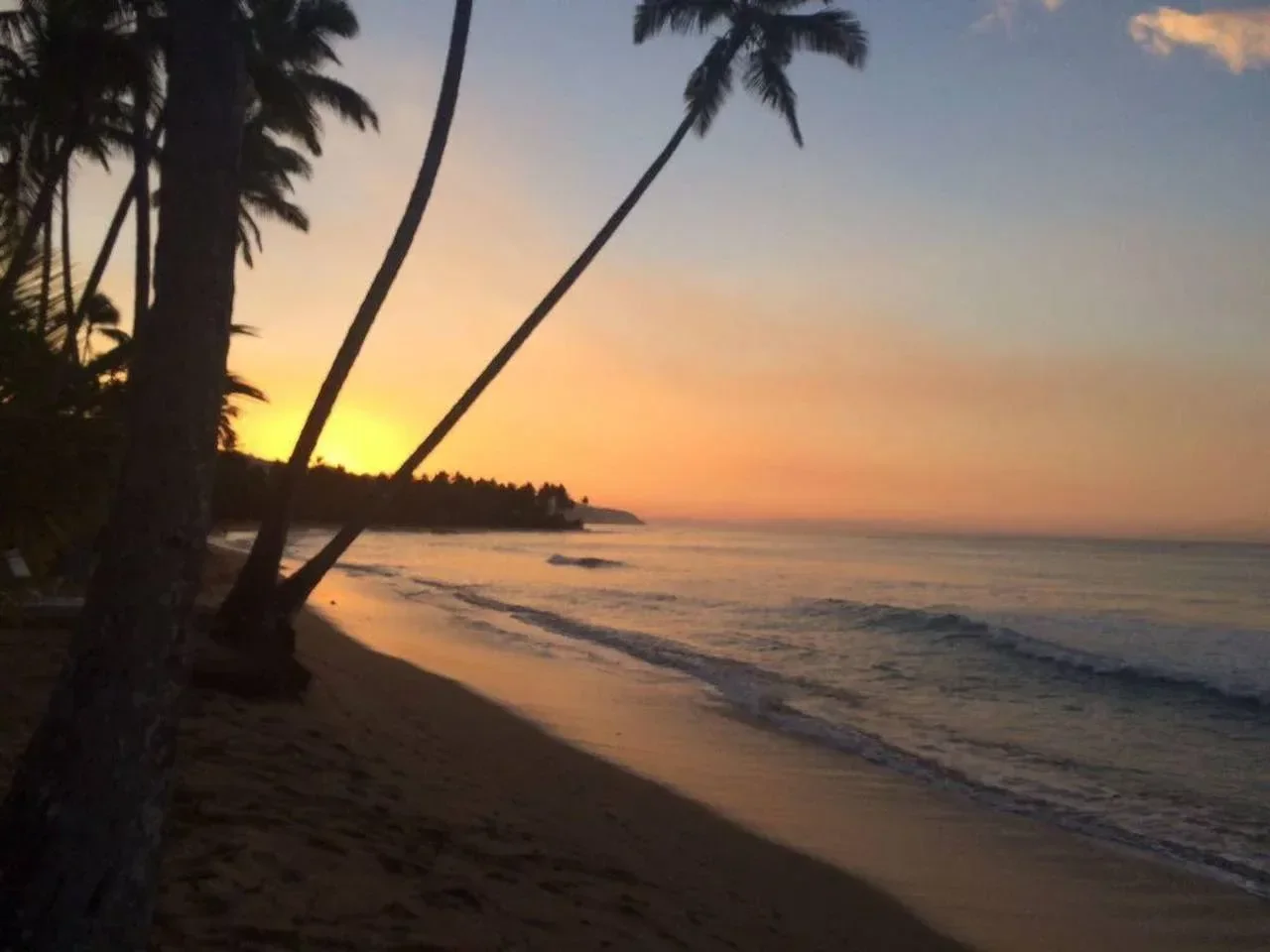 Venta: apartamento en Las Terrenas, Las Terrenas - 2