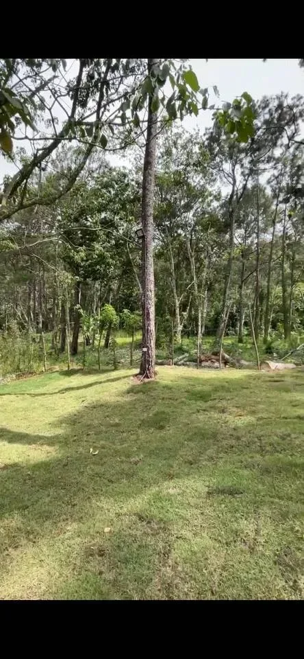 Villa with 2 bedrooms for sale in Mata De Plátano, Jarabacoa - 4