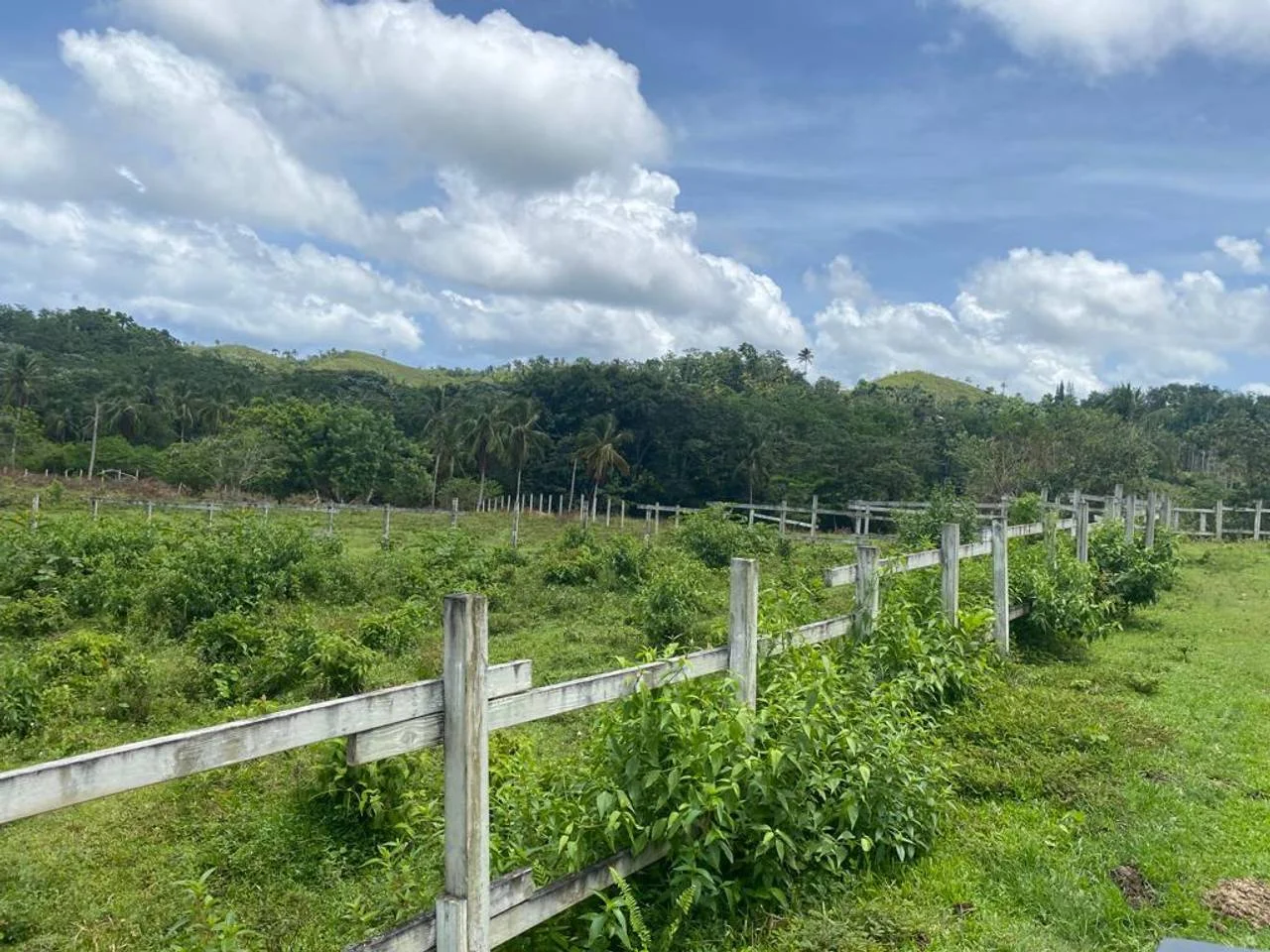 Land plot in Las Guázaras for sale - 5