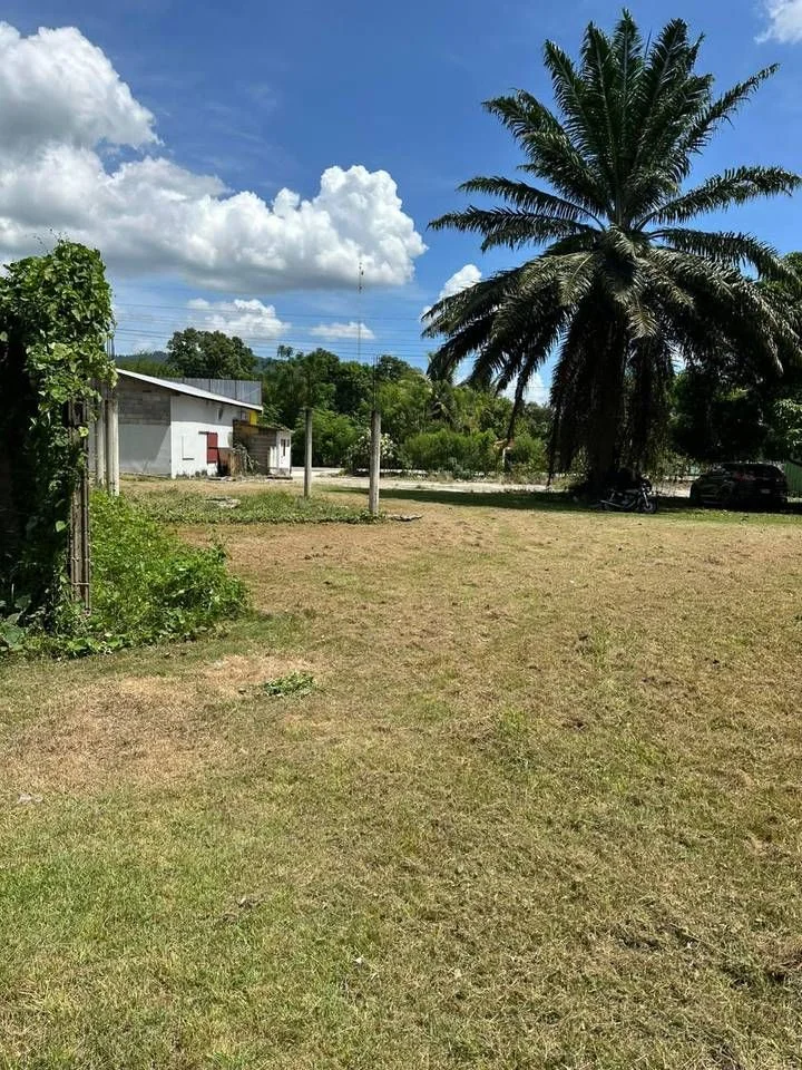Terreno en Sonador en venta - 5