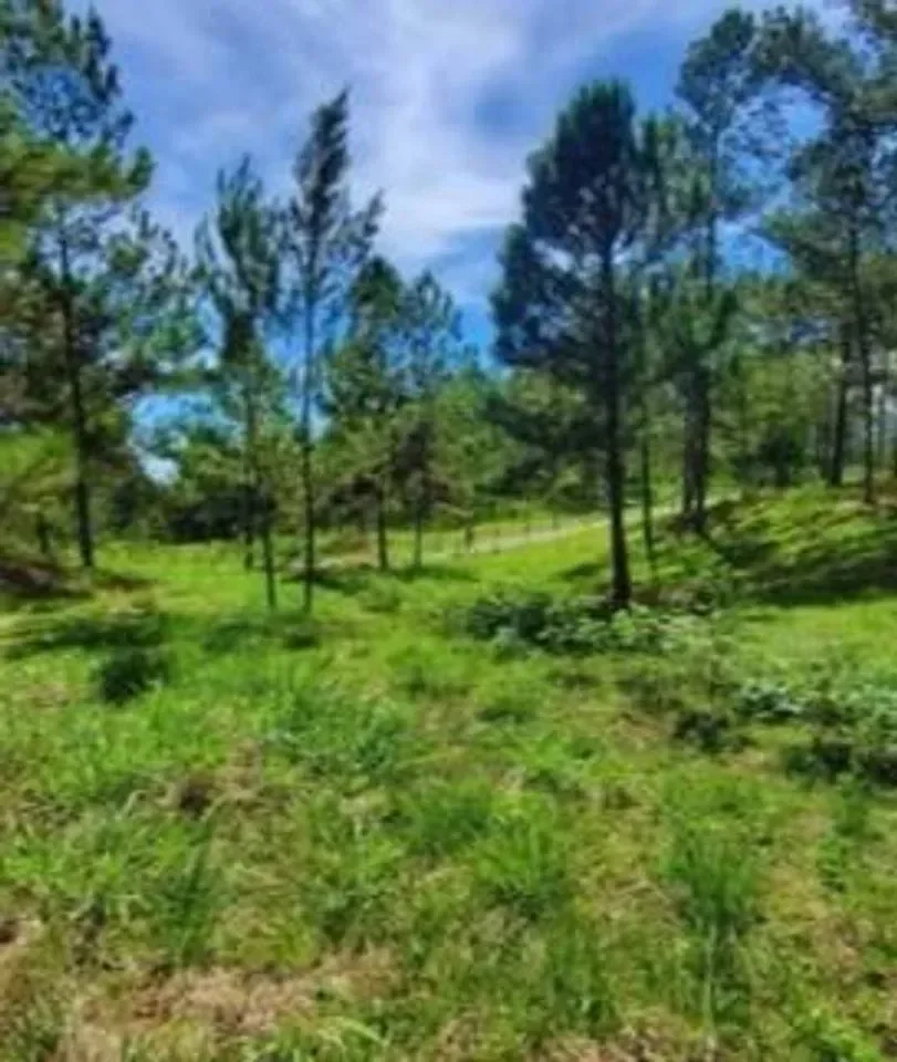 Terreno en Jumunuco en venta - 3