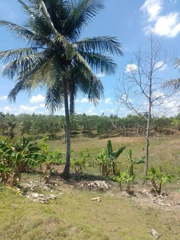 Appartement à vendre à Haras Nacionales, Santo Domingo Norte - 3