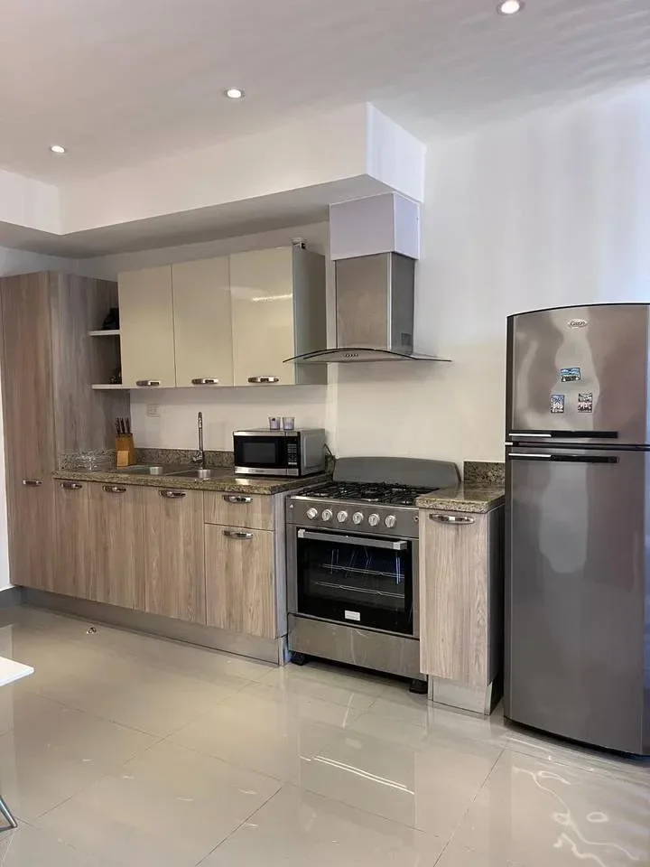 Rental: apartment in Evaristo Morales, Santo Domingo D.N. - 5