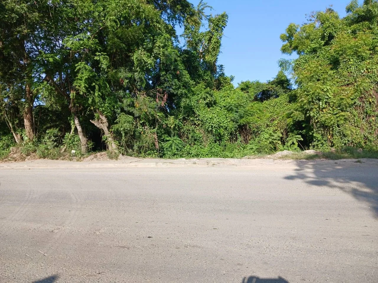 Terreno en venta — Kilómetro 22, Pedro Brand - 3