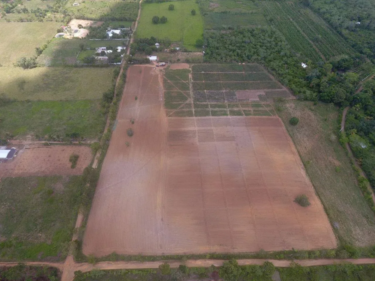 Terreno en venta — Los Botados, Yamasa - 1
