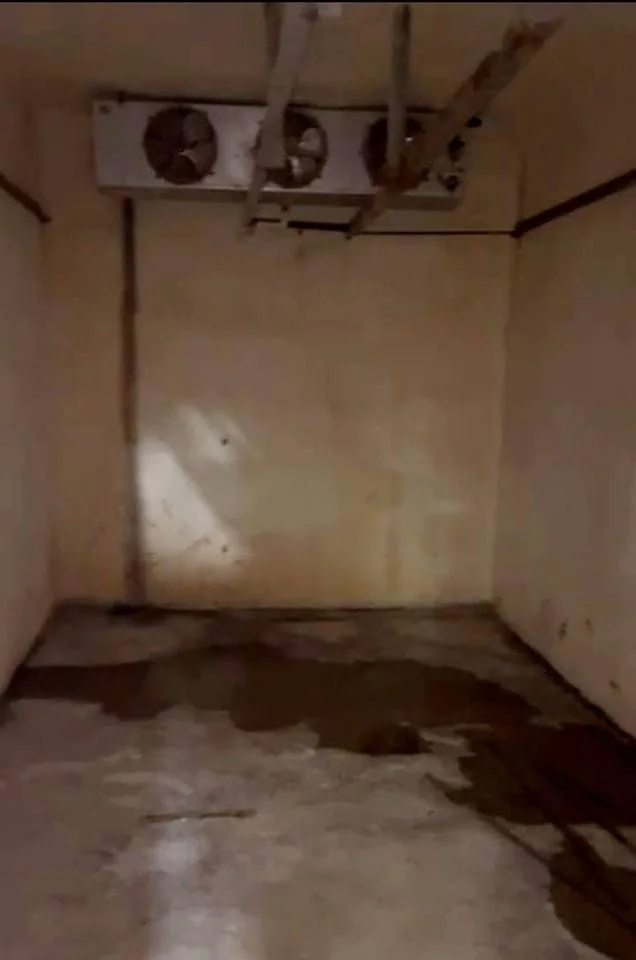 Los Indios: apartamento · 400 m² en alquiler - 5