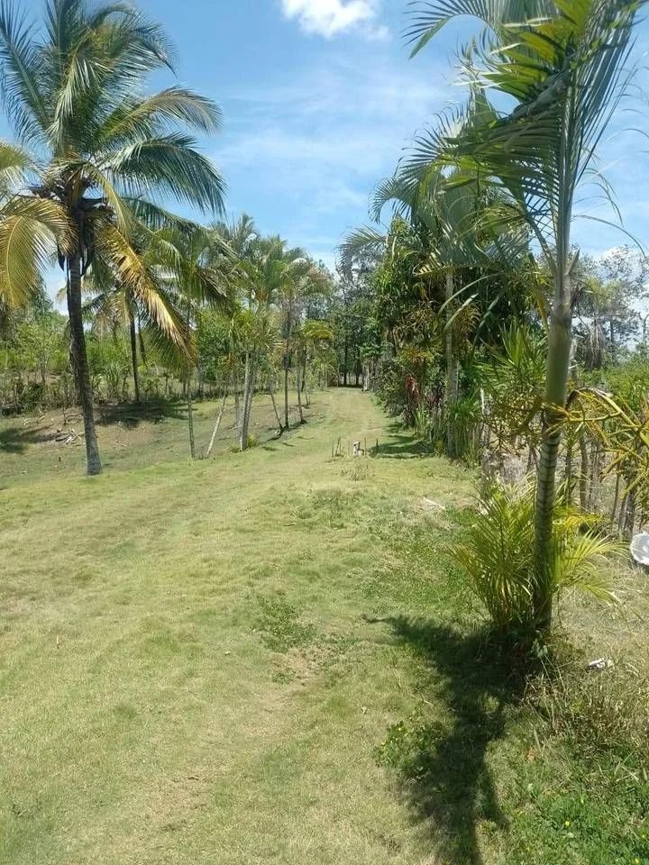 Appartement à vendre à Haras Nacionales, Santo Domingo Norte