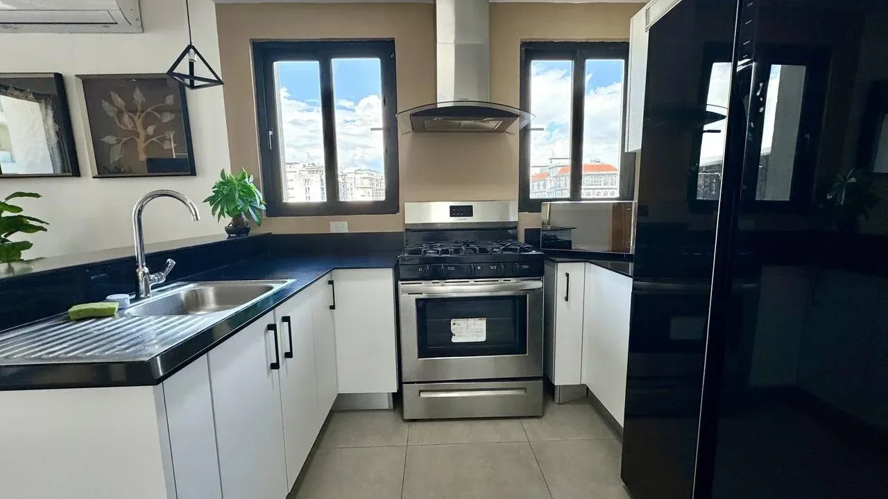 Alquiler: apartamento en Piantini, Santo Domingo D.N. - 4
