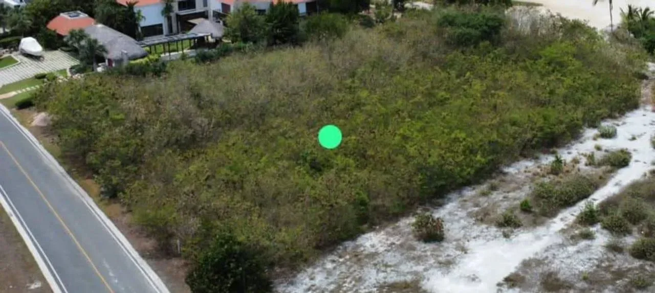 Terreno en venta — Cap Cana, Cap Cana - 3