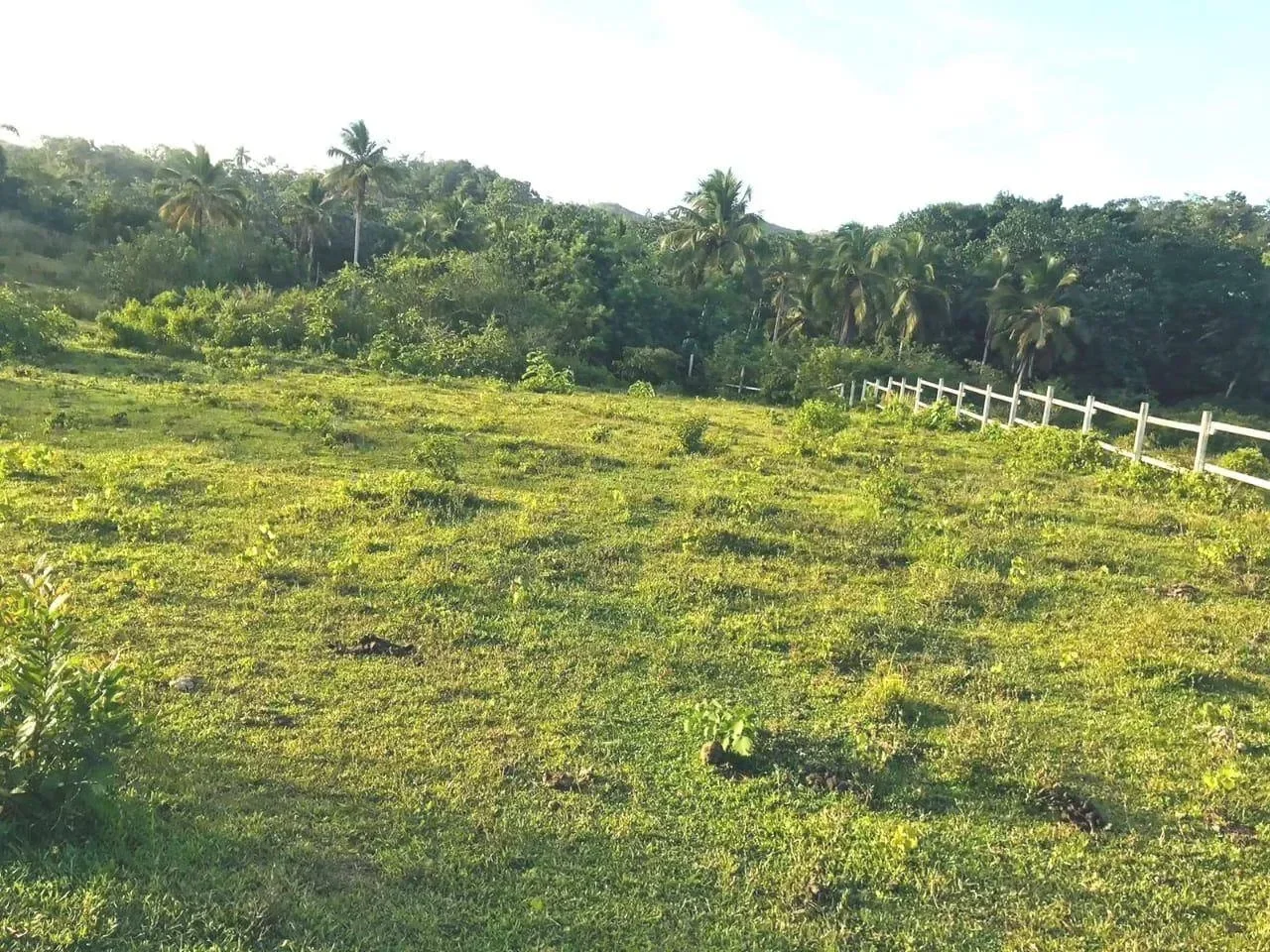 Terreno en Las Guázaras en venta - 3