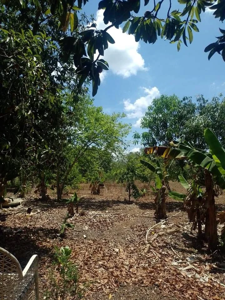 Appartement à vendre à Haras Nacionales, Santo Domingo Norte - 5