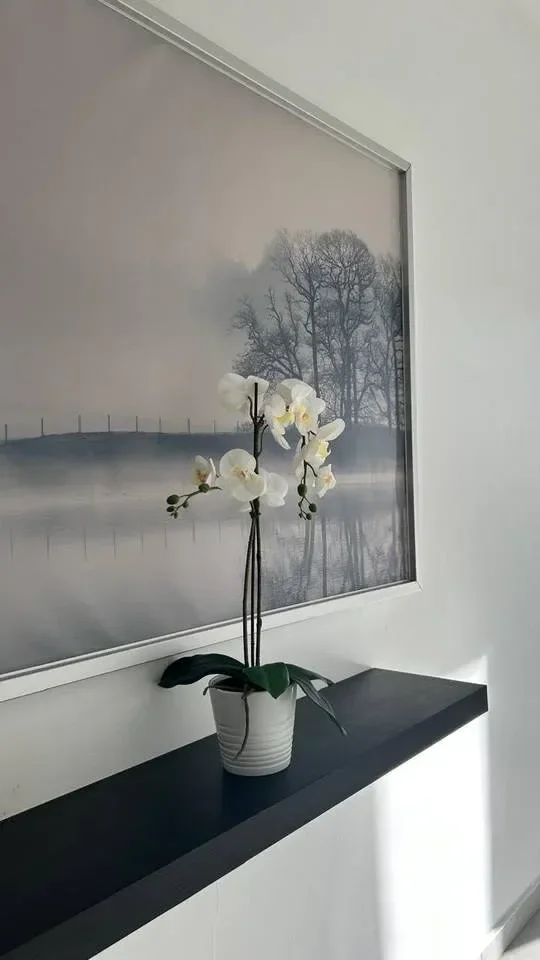 Apartamento en alquiler — La Esperilla, Distrito Nacional (1 hab.) - 1