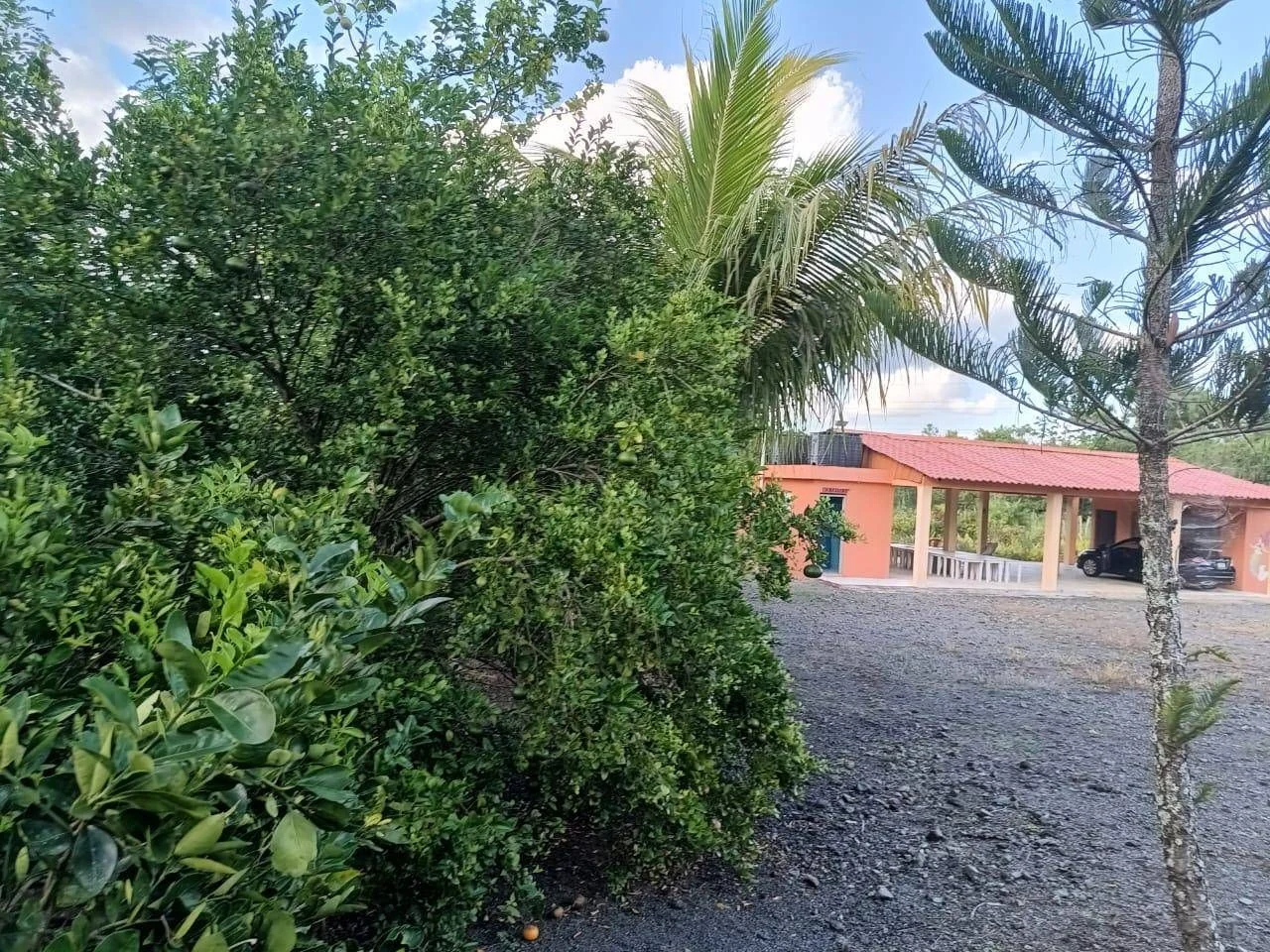 Villa en El Dajao, 250 m² en venta - 2