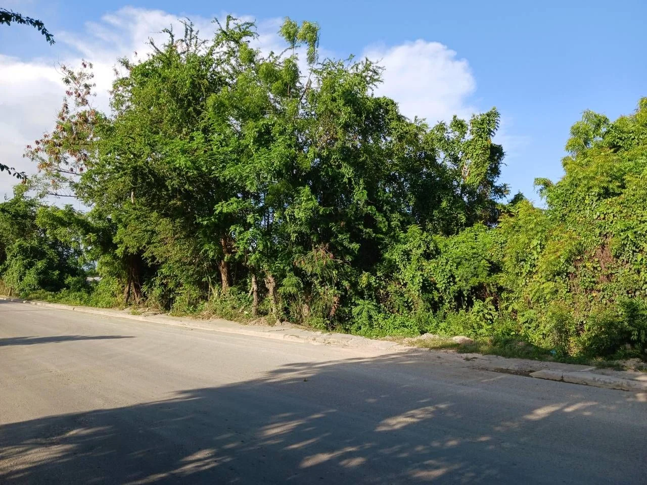 Terreno en venta — Kilómetro 22, Pedro Brand - 2
