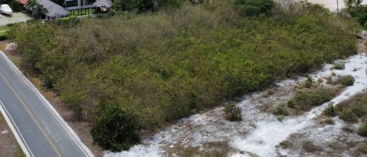 Terreno en venta — Cap Cana, Cap Cana - 2