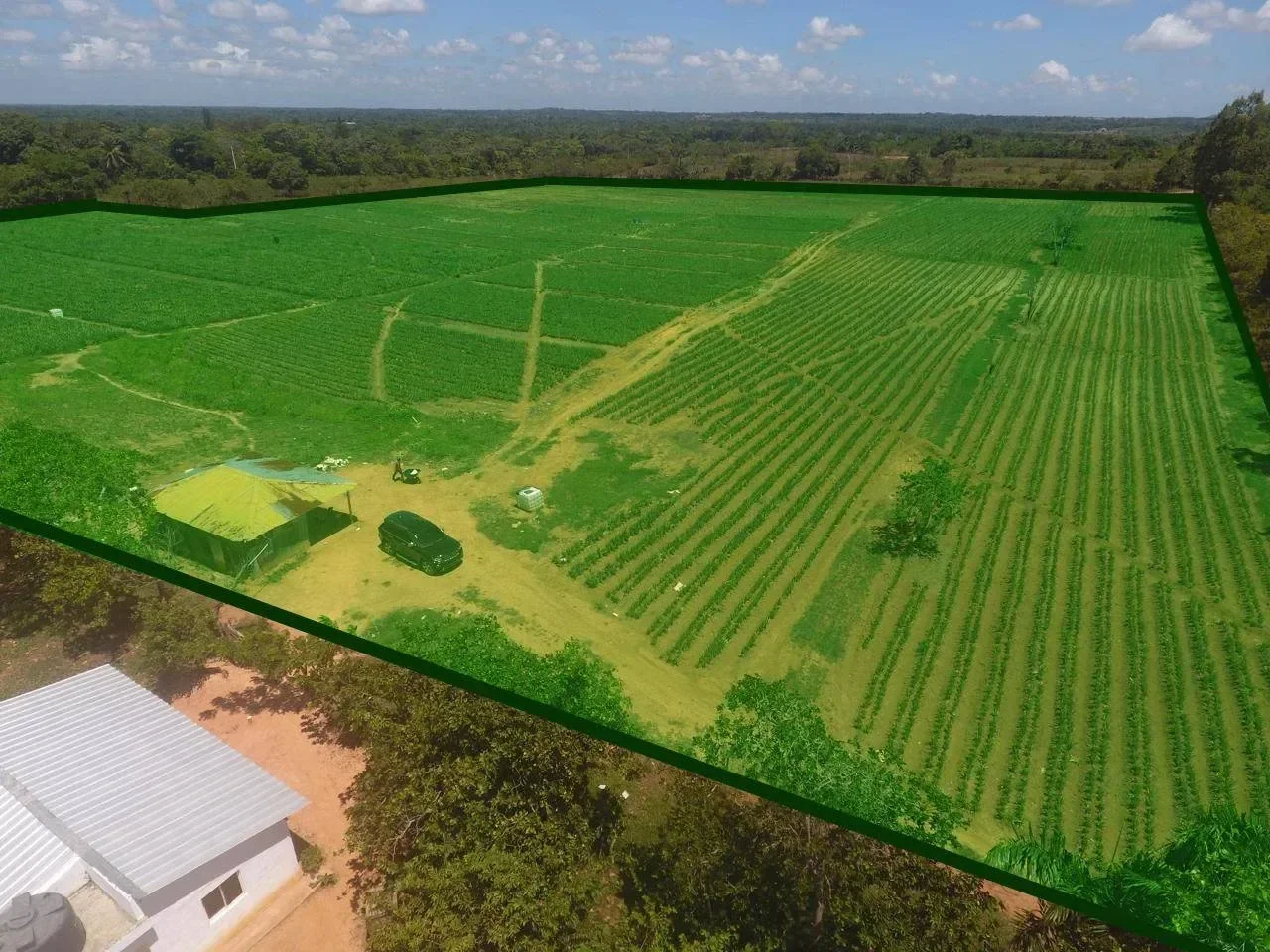 Terreno en venta — Los Botados, Yamasa - 2