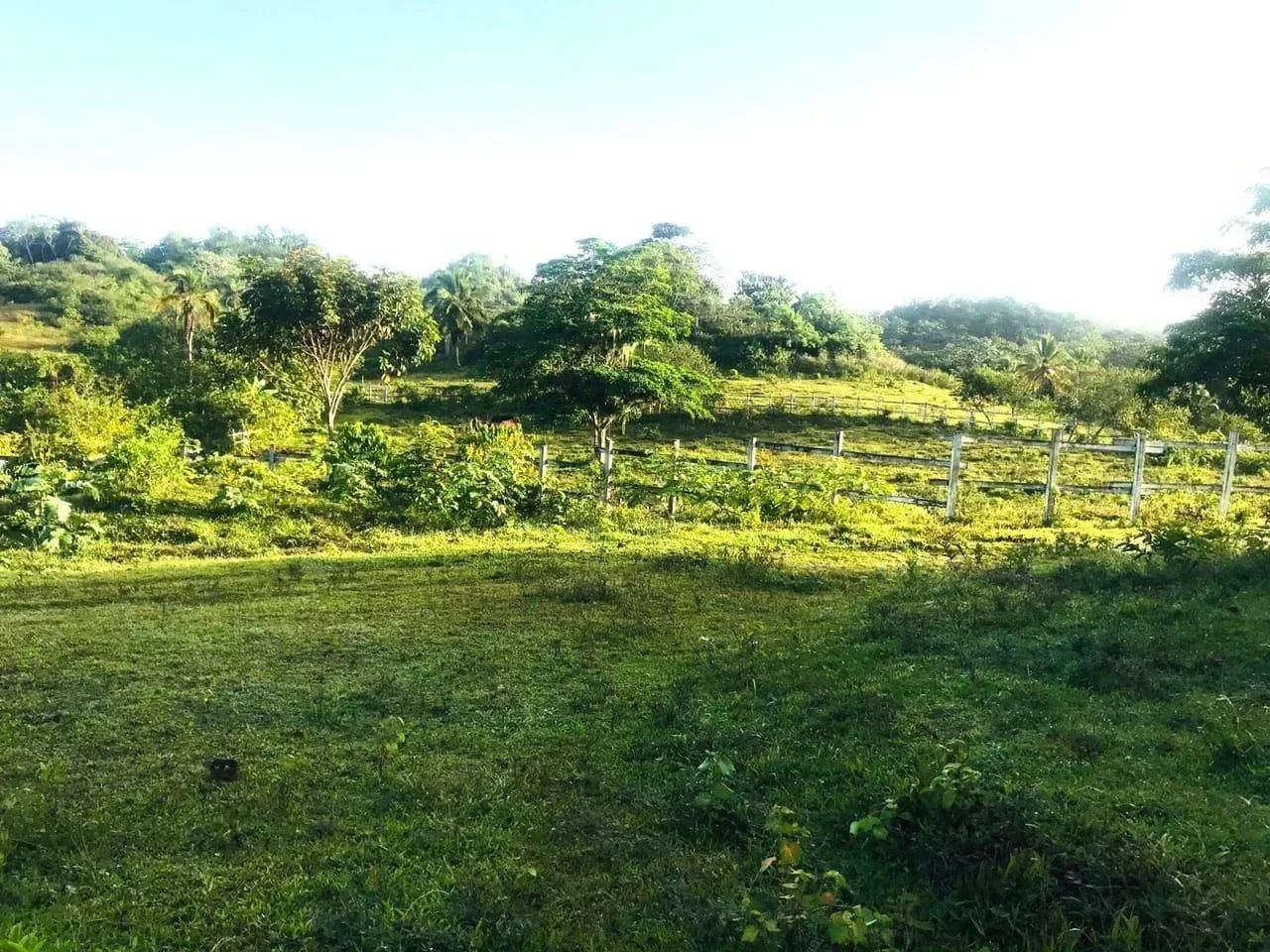 Venta: terreno en Las Guázaras, Las Terrenas - 2