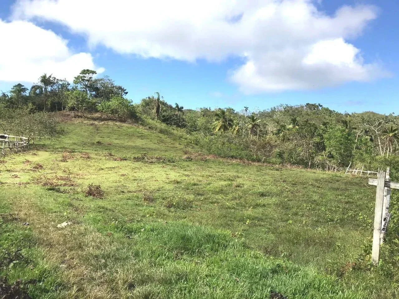 Terreno en Las Guázaras en venta - 5