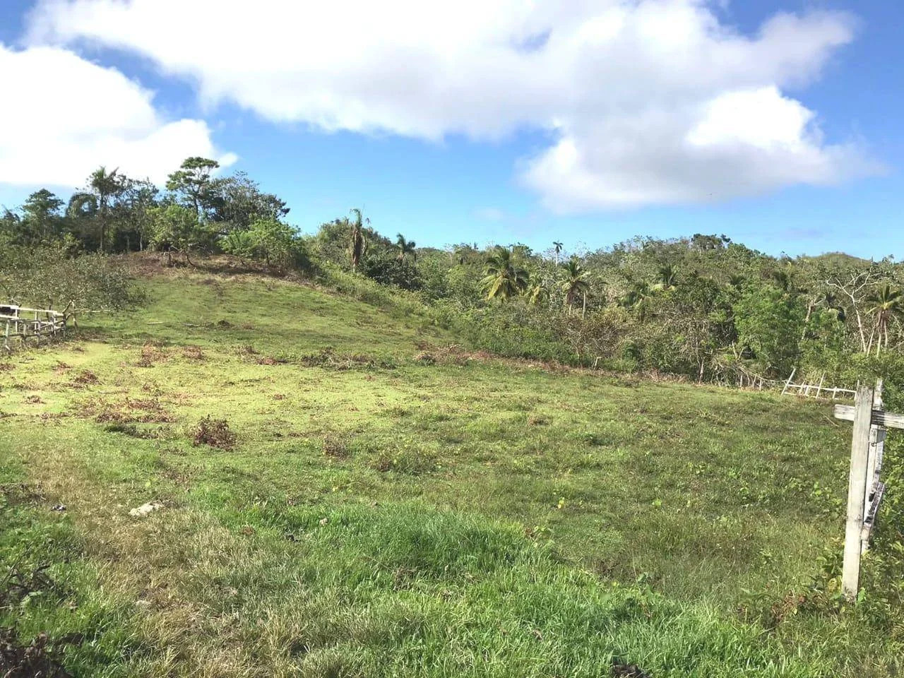Terrain à vendre — Las Guázaras, Las Terrenas - 5