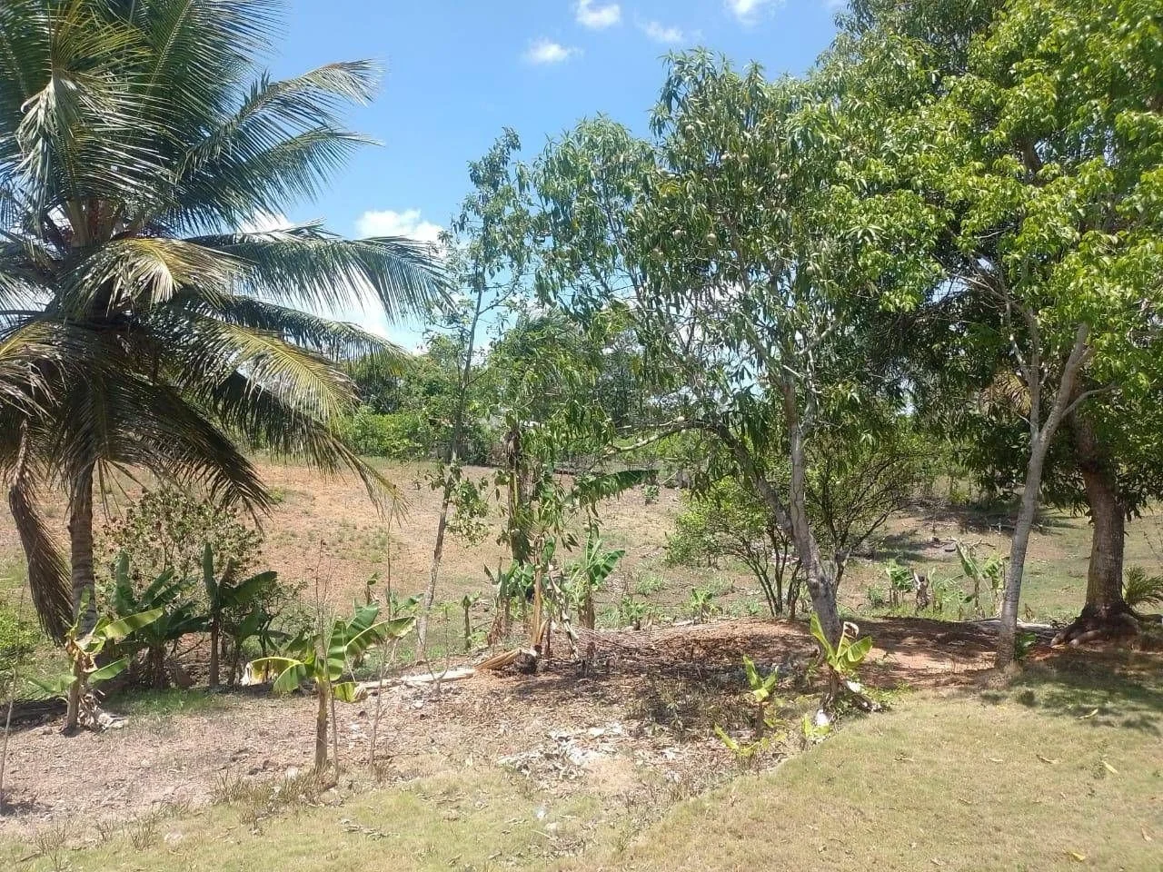 Appartement à vendre à Haras Nacionales, Santo Domingo Norte - 4