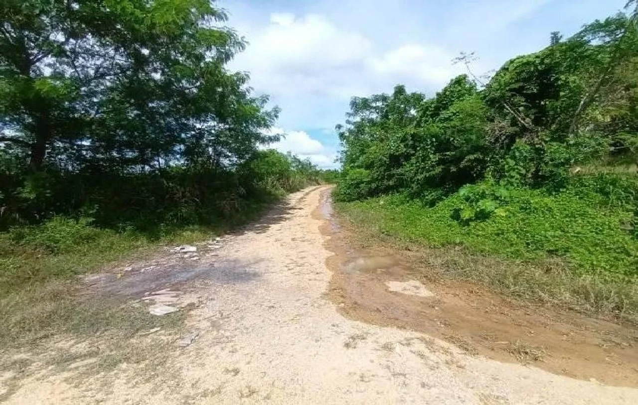 Vente: terrain à Urbanización Las Acacias, Santo Domingo Este - 5