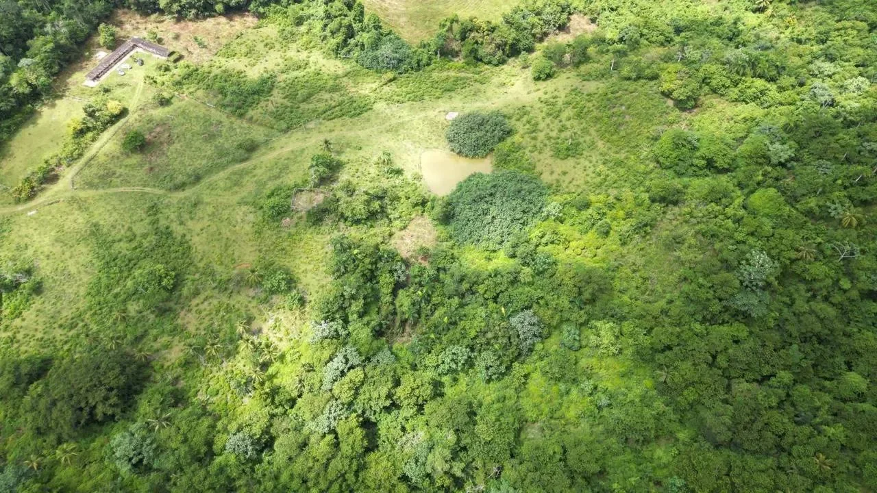 Land plot for sale — Las Guázaras, Las Terrenas
