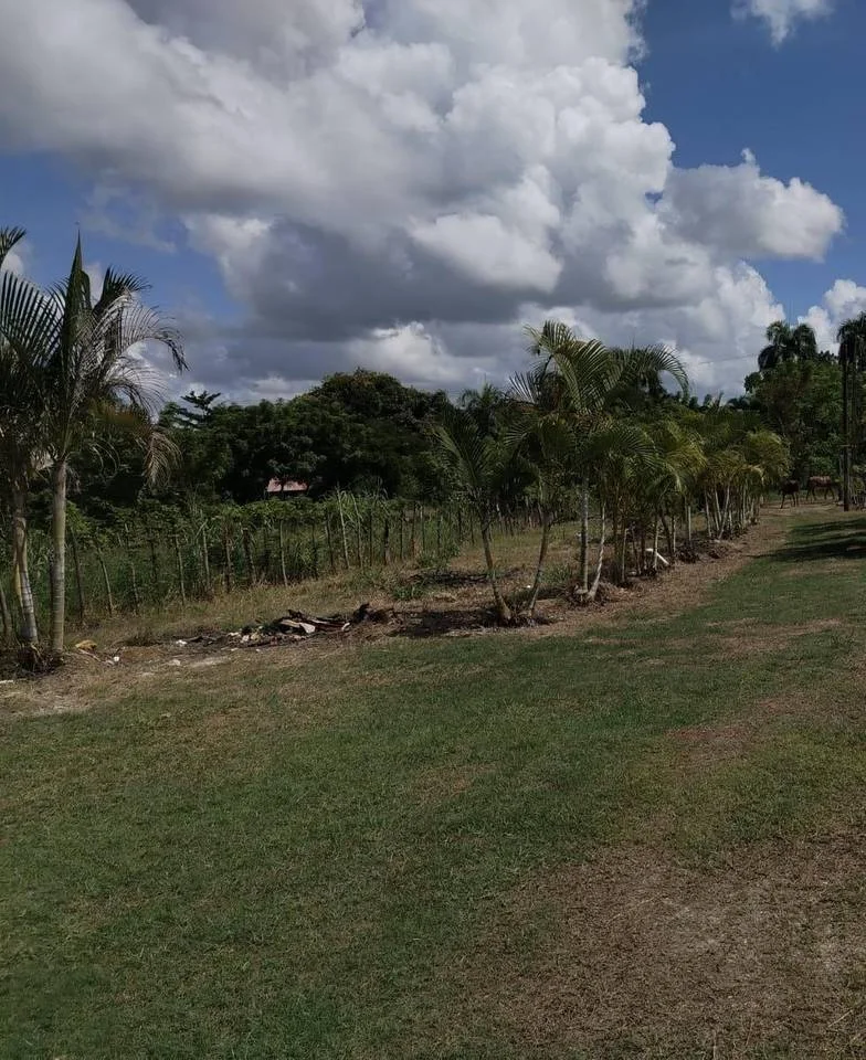 Venta: terreno en El Cabreto, Santo Domingo Este - 2