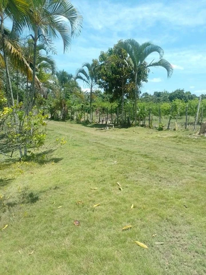 Appartement à vendre à Haras Nacionales, Santo Domingo Norte - 2