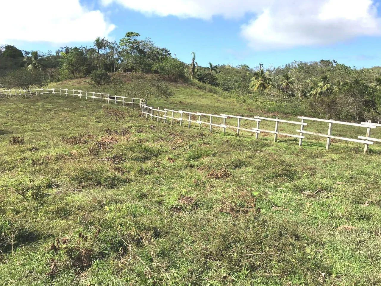 Terrain à vendre — Las Guázaras, Las Terrenas - 4